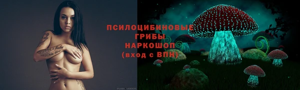 ГАЛЛЮЦИНОГЕННЫЕ ГРИБЫ Алзамай