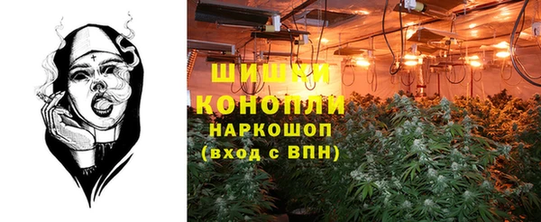 PSILOCYBIN Абинск