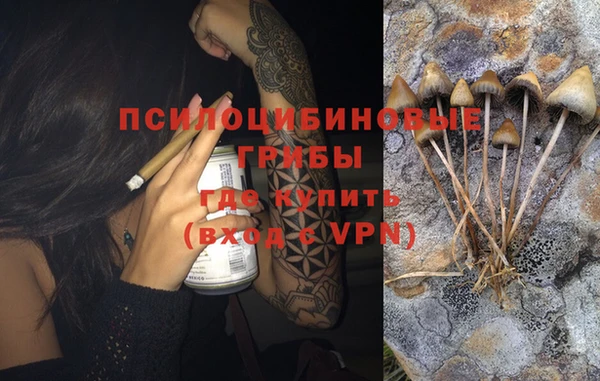 PSILOCYBIN Абинск