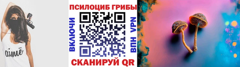 Галлюциногенные грибы прущие грибы  Нерчинск 